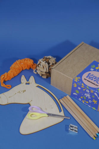 მაკრამეს DIY ყუთი -  ცხენი